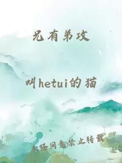 兄有弟攻