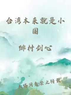 台湾本来就是小国