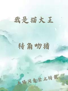 我是猫大王